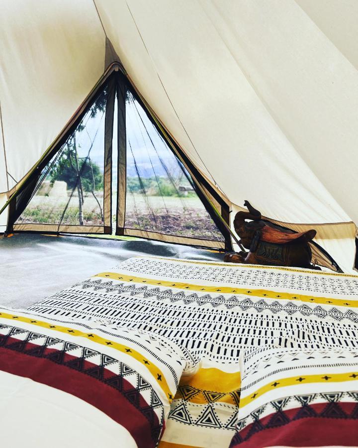 Hotel Les Petites Bulles De Massier Vienne  Zewnętrze zdjęcie