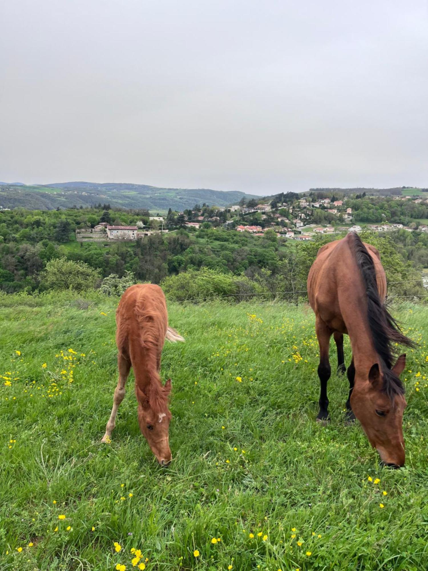 Hotel Les Petites Bulles De Massier Vienne  Zewnętrze zdjęcie